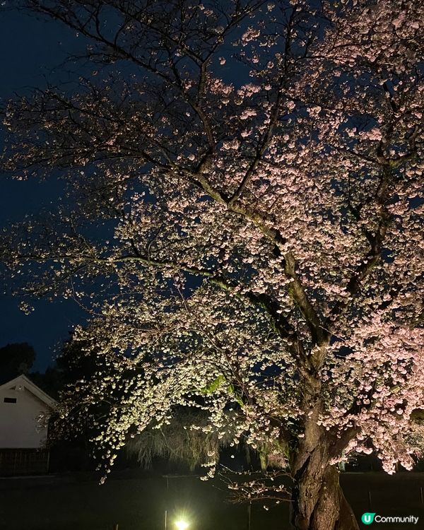 2023～2人自遊記