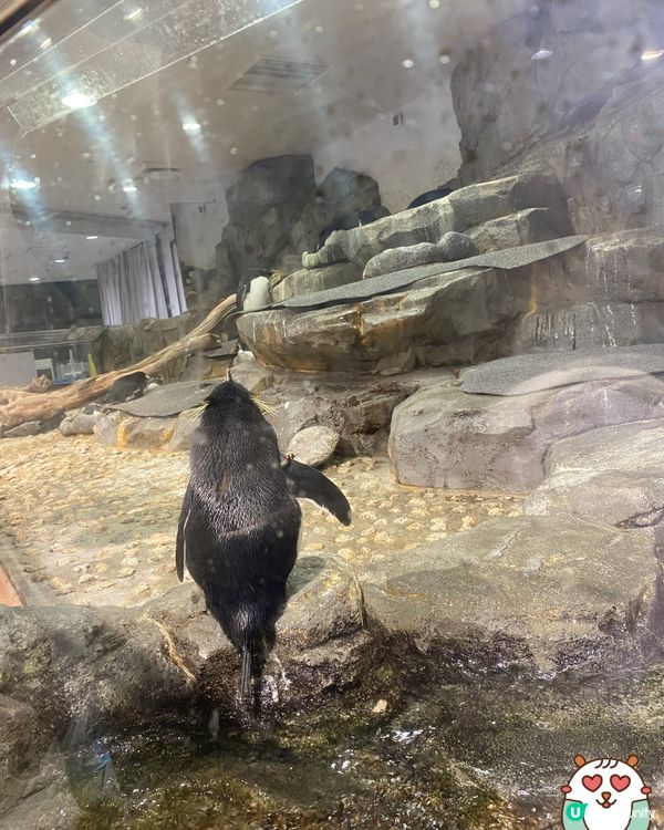 2023～2人自遊記