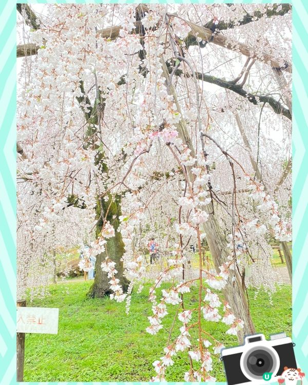 2023～2人自遊記