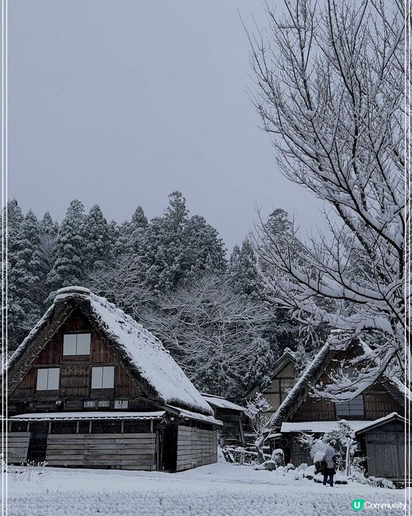 ❄️人生必到景點❄️白川鄉