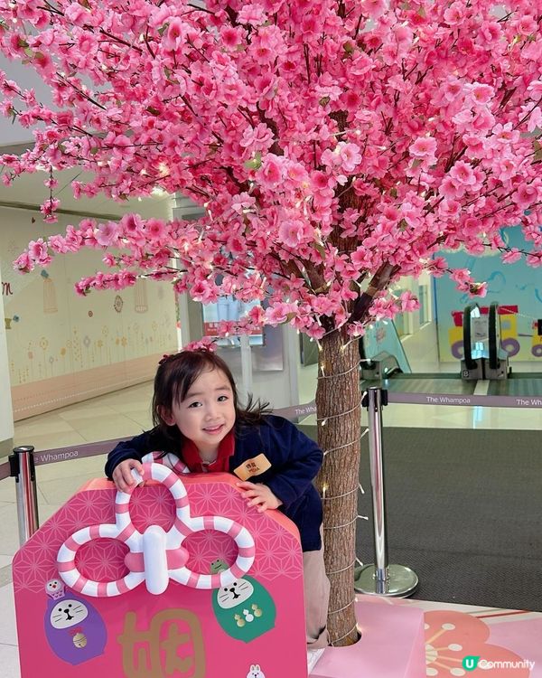 2024新年打卡熱點｜黃埔天地 x 日本人氣生活雜貨品牌口DECOLE Concombre｜達摩析願神社｜888隻達摩公仔😍