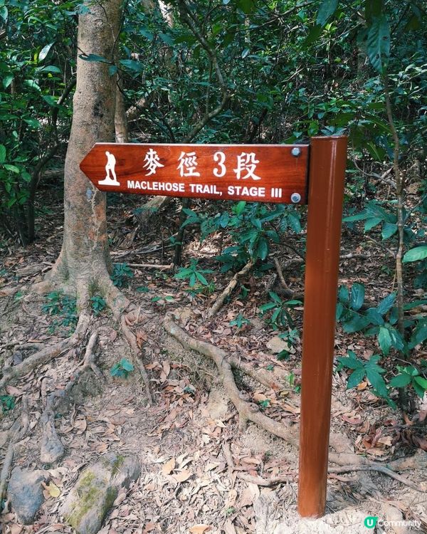 [跟我走。官方四大徑]18 - 麥理浩徑第三段