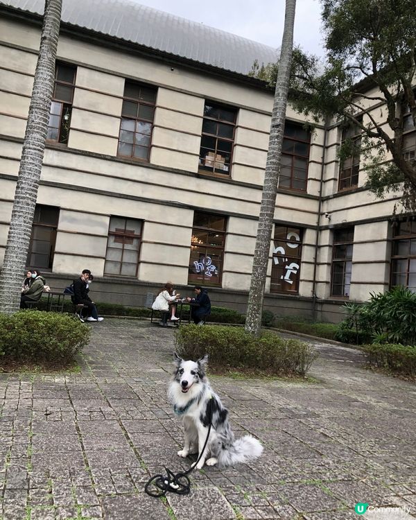 2023最有feel 嘅moment 