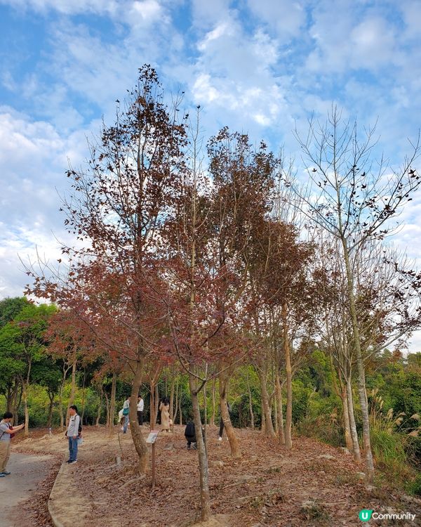 最有feel嘅行山景點