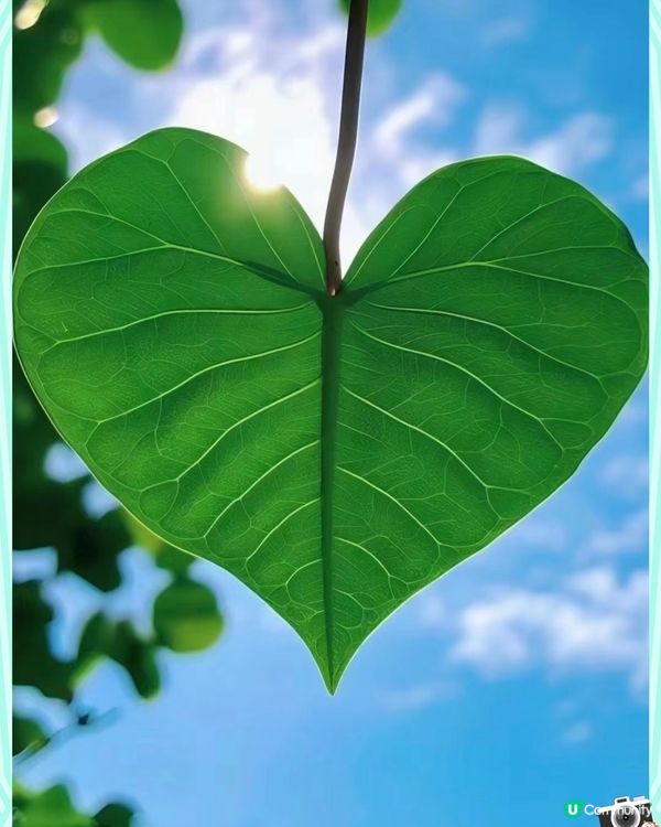 旅行的意義❌不是趕路, ❌不是打卡,❌不是拍照, ❌不是炫耀