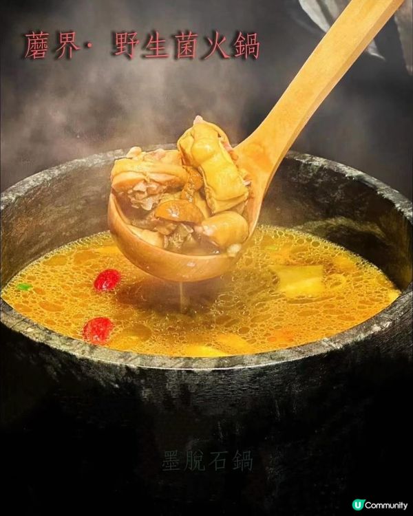 💁🏻‍♀️ 蘑界·野生菌火鍋