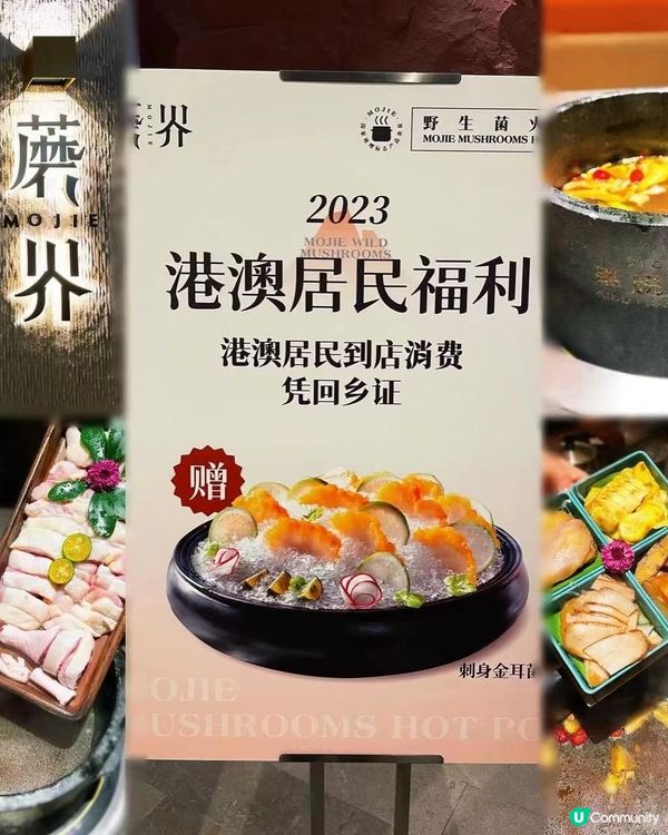 💁🏻‍♀️ 蘑界·野生菌火鍋