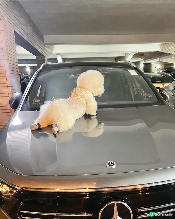 使唔使咁sexy啊😂