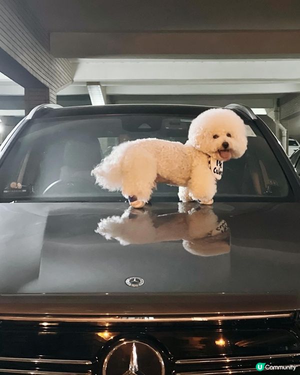 使唔使咁sexy啊😂