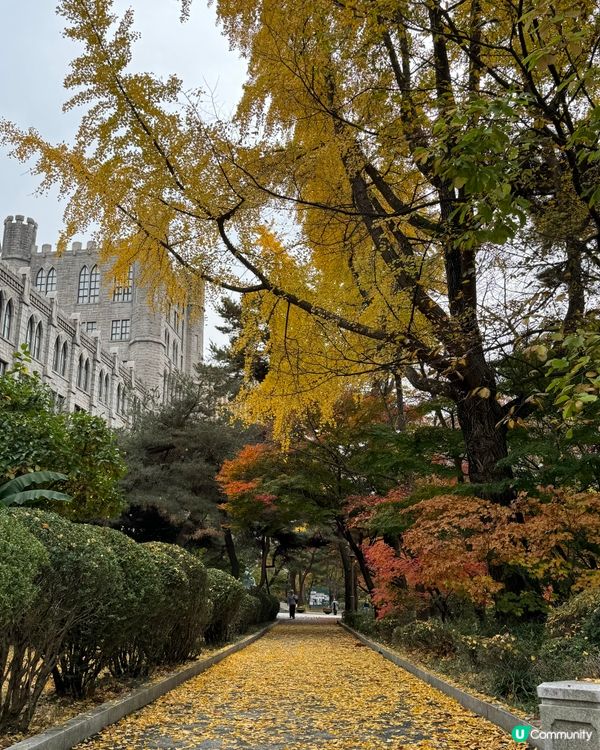 2023最有Feel～首爾