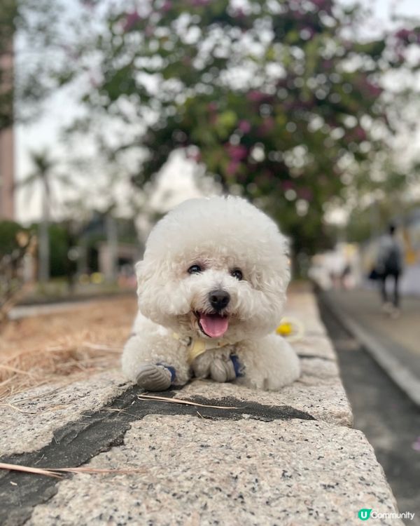 最愛秋高氣爽去街街