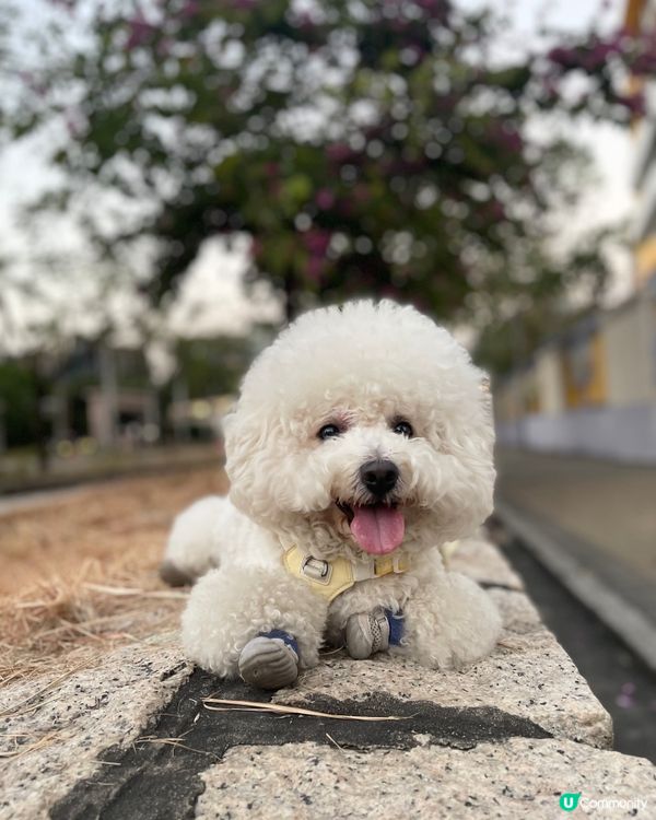 最愛秋高氣爽去街街