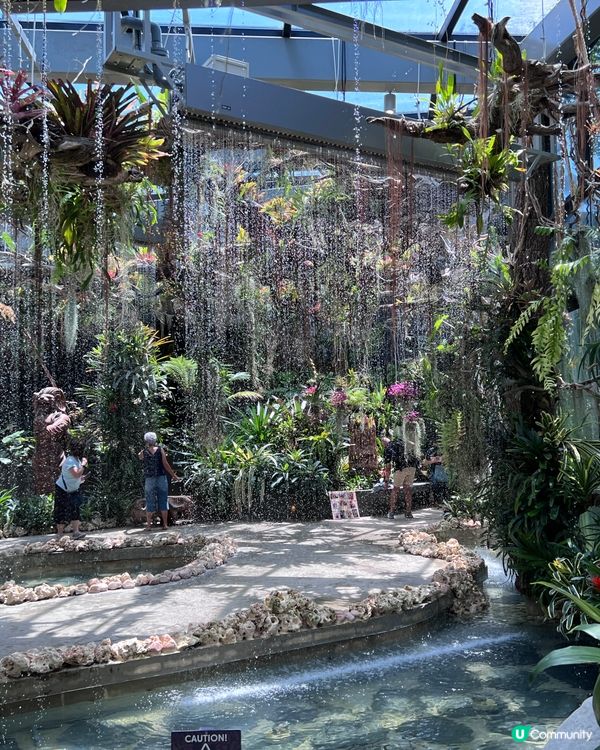 熱烘烘的新加坡🇸🇬