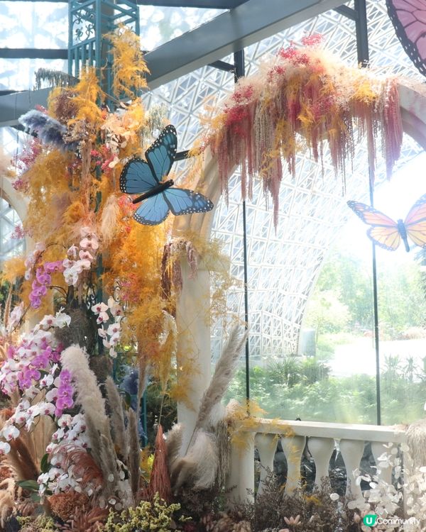 熱烘烘的新加坡🇸🇬