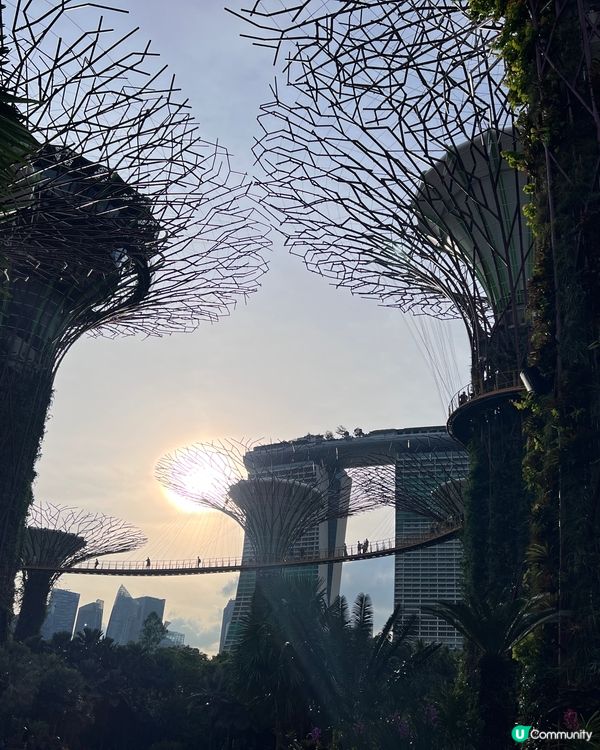 熱烘烘的新加坡🇸🇬