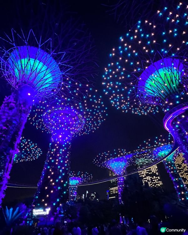 熱烘烘的新加坡🇸🇬