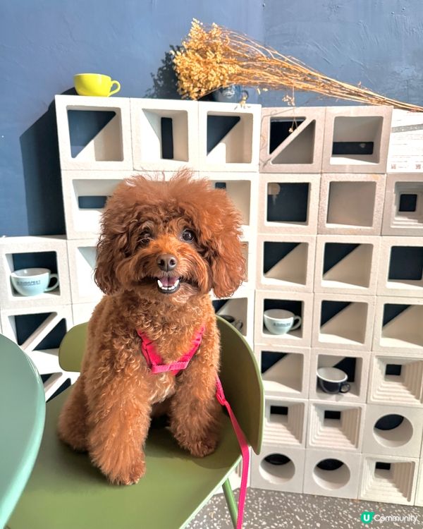 暗黑系水泥風咖啡店