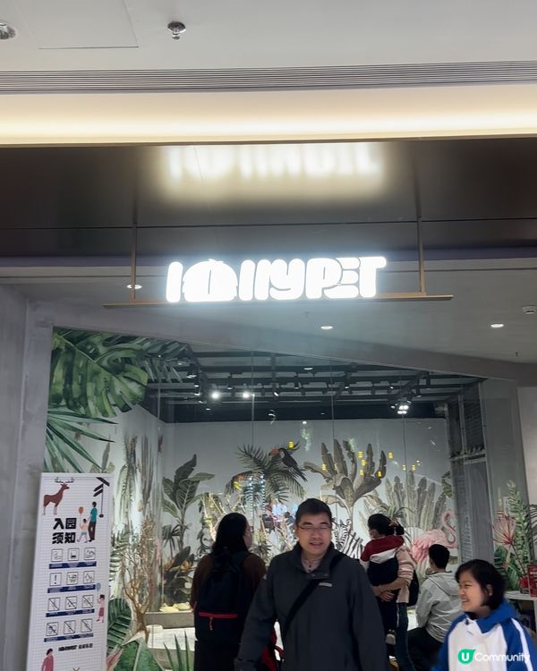 深圳必去餵動物🤣