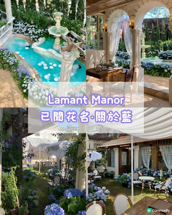 🌸2024年春季必去📍深圳花花打卡cafe合集