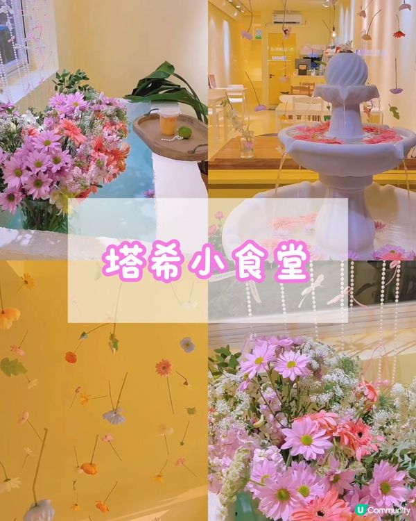 🌸2024年春季必去📍深圳花花打卡cafe合集