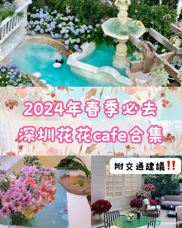 🌸2024年春季必去📍深圳花花打卡cafe合集