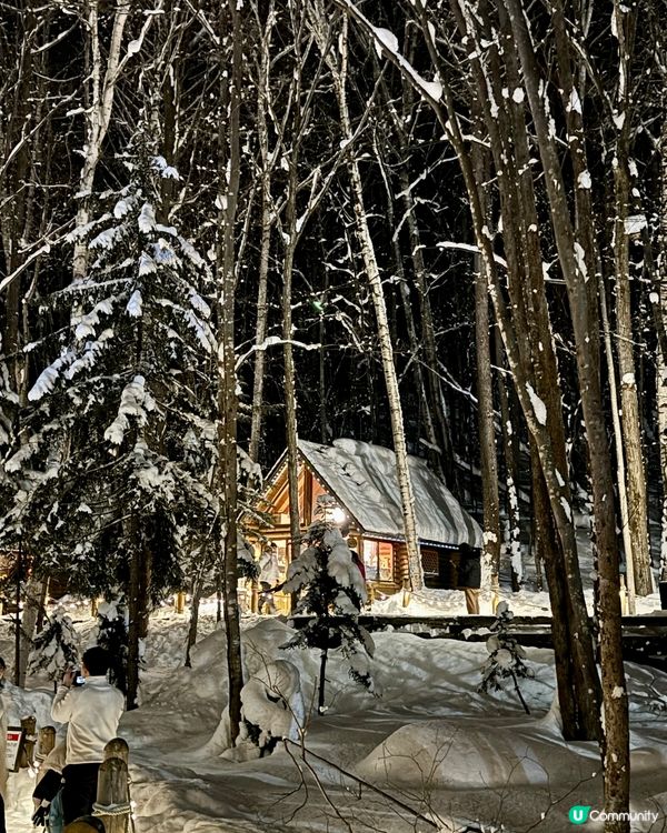 北海道富良野夢幻精靈村🏘️🌲