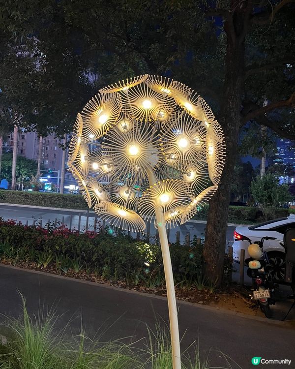 不一樣的打邊爐