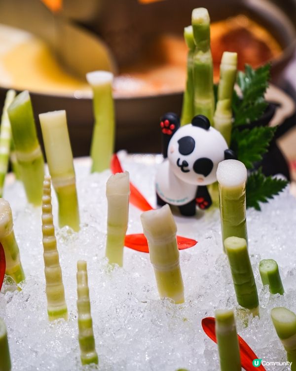 🐼 深圳熊貓主題創意川式火鍋