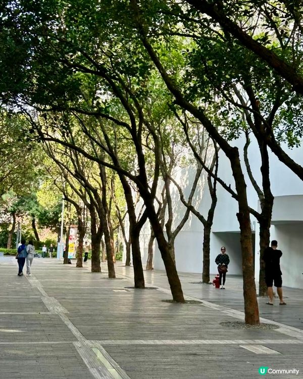 文青必去📚🎨深圳南山區華僑城創意文化園攻略‼️