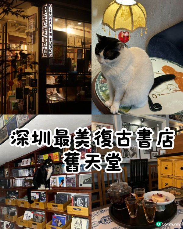 📚深圳最美復古日系書店🐈‍⬛有貓貓店長‼️