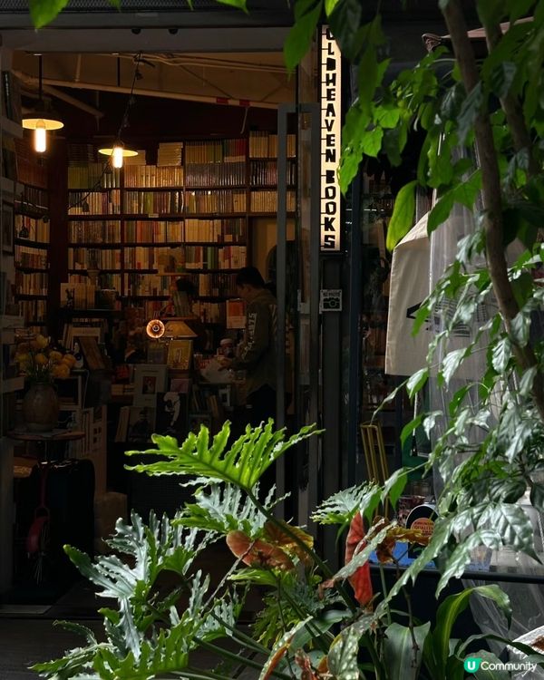 📚深圳最美復古日系書店🐈‍⬛有貓貓店長‼️