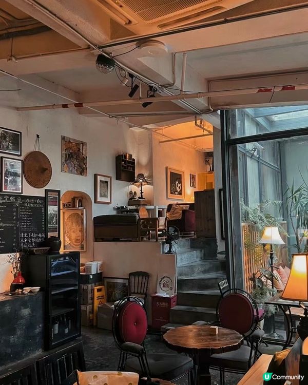 📚深圳最美復古日系書店🐈‍⬛有貓貓店長‼️