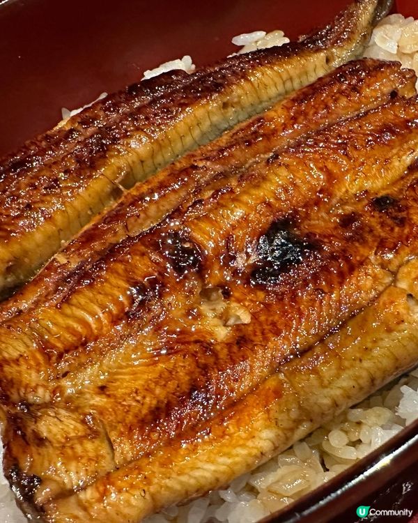 🏔️嵐山·廣川鰻魚飯🍱