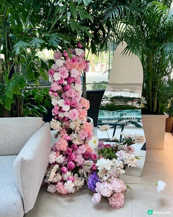 深圳新開玻璃屋花花cafe🌸女生聚會之選💕💕