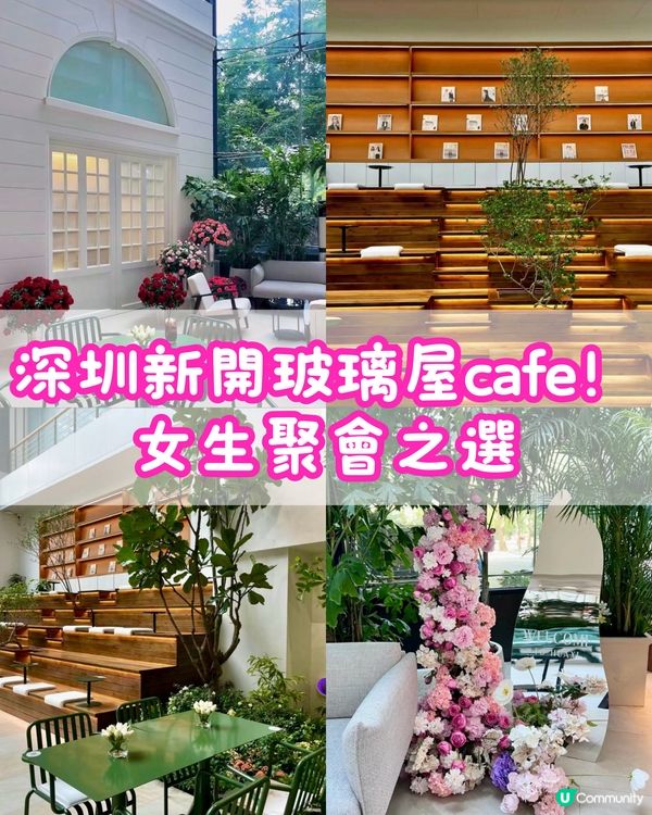 深圳新開玻璃屋花花cafe🌸女生聚會之選💕💕
