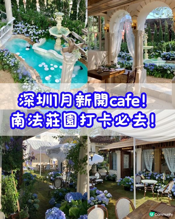 💜關於藍南山新分店📍深圳超人氣南法莊園水池花花打卡cafe💜
