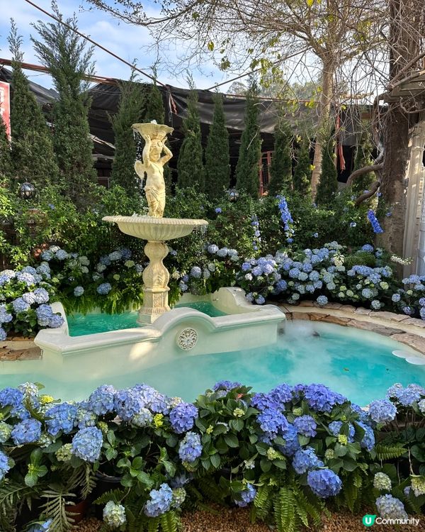 💜關於藍南山新分店📍深圳超人氣南法莊園水池花花打卡cafe💜