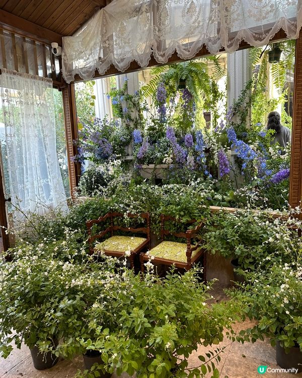 💜關於藍南山新分店📍深圳超人氣南法莊園水池花花打卡cafe💜