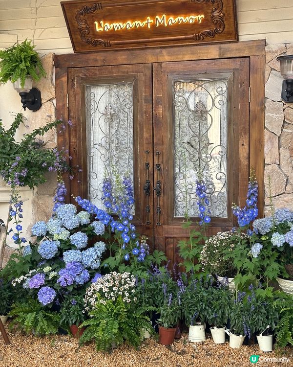 💜關於藍南山新分店📍深圳超人氣南法莊園水池花花打卡cafe💜