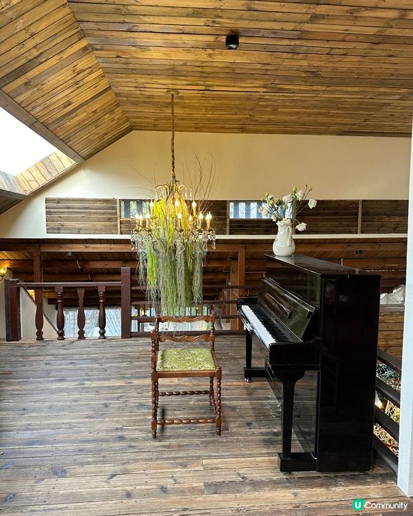 💜關於藍南山新分店📍深圳超人氣南法莊園水池花花打卡cafe💜