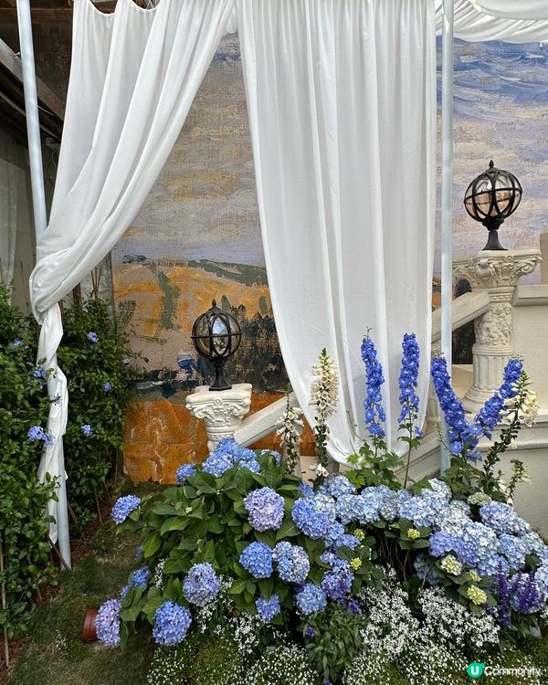 💜關於藍南山新分店📍深圳超人氣南法莊園水池花花打卡cafe💜