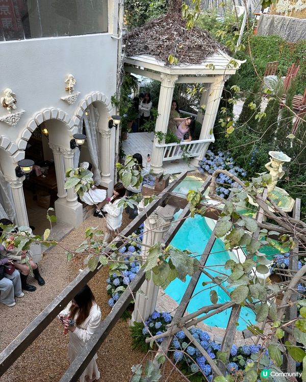 💜關於藍南山新分店📍深圳超人氣南法莊園水池花花打卡cafe💜