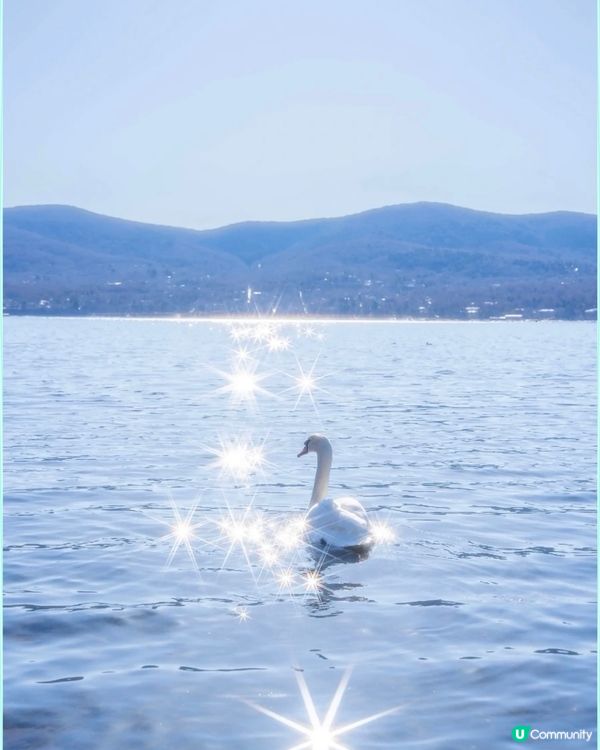 面向富士山的湖景好位置☺️ 環湖這些點位都好值得一去 