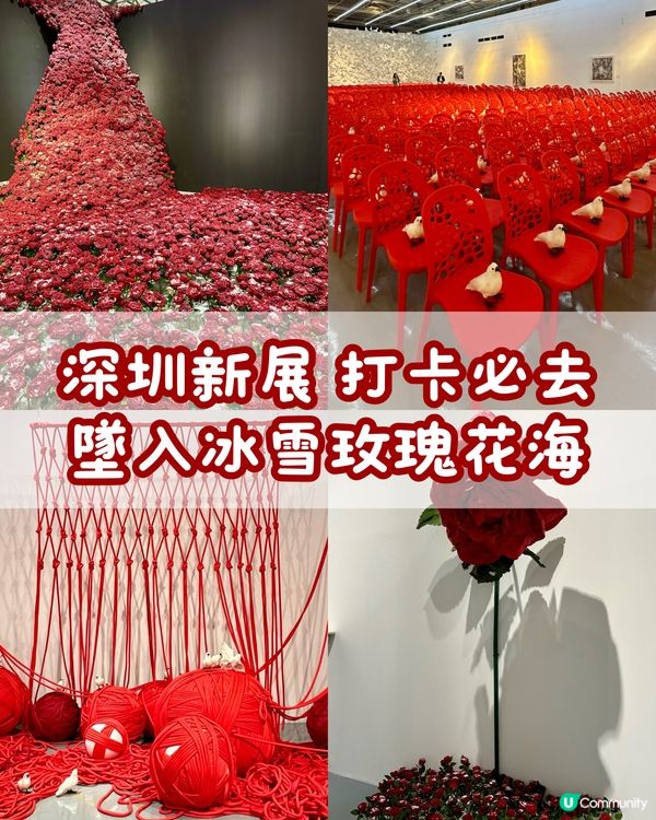 📍深圳新展打卡必去📸墜入冰雪玫瑰花海🌹
