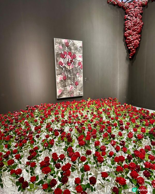 📍深圳新展打卡必去📸墜入冰雪玫瑰花海🌹