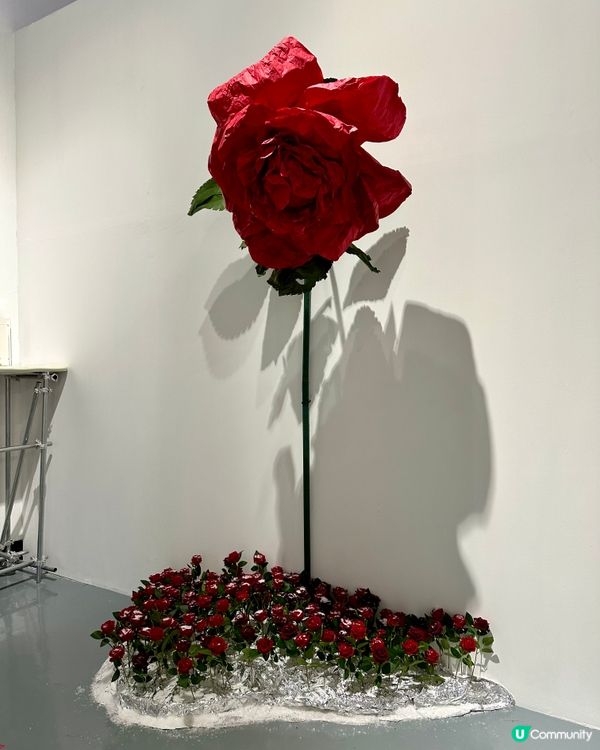 📍深圳新展打卡必去📸墜入冰雪玫瑰花海🌹