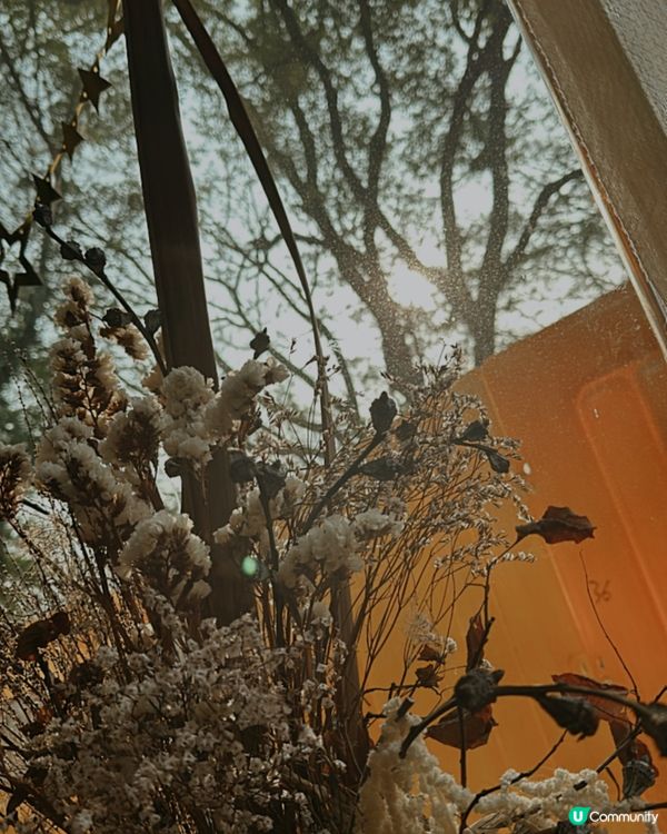 鬧市中的一處地方