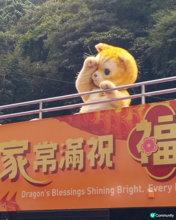 鰂魚涌偶遇🧡萬寧貓🧡so cute 🥰