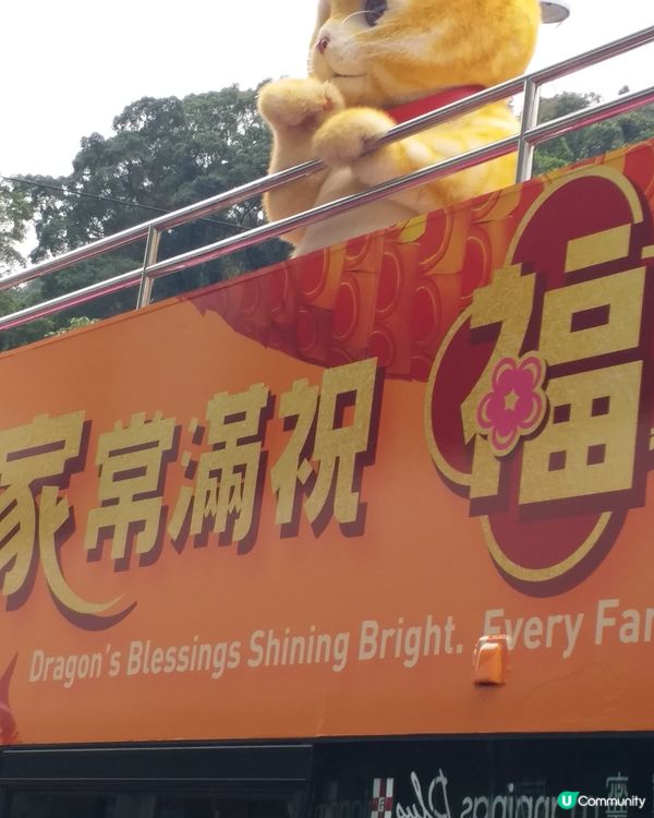 鰂魚涌偶遇🧡萬寧貓🧡so cute 🥰