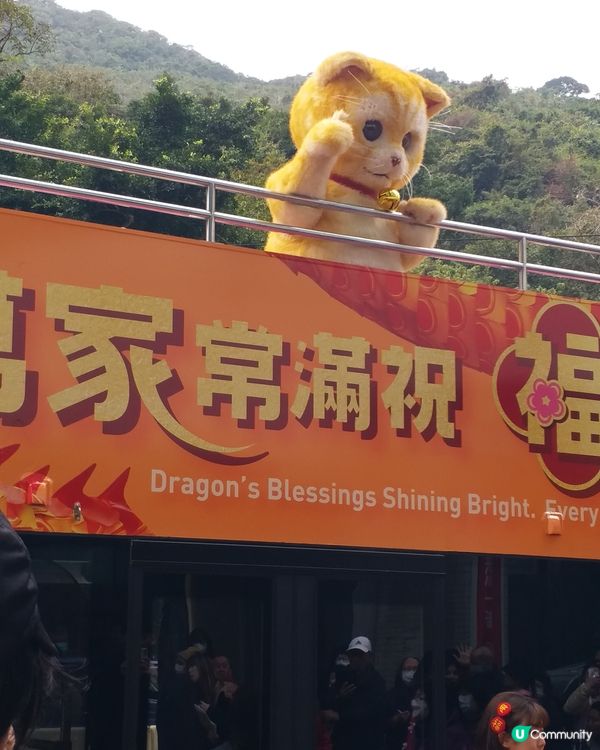 鰂魚涌偶遇🧡萬寧貓🧡so cute 🥰